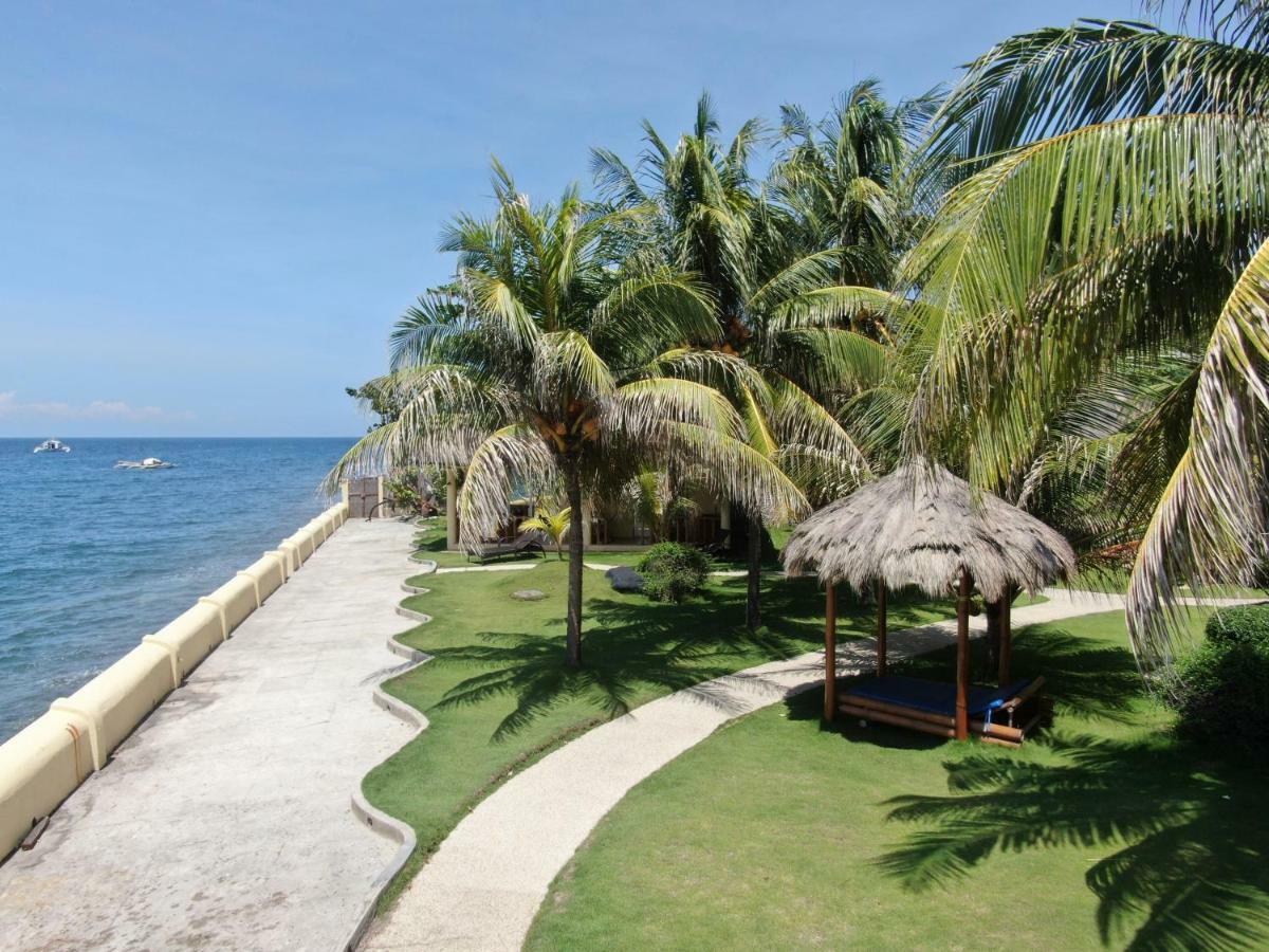 Thalatta 3*